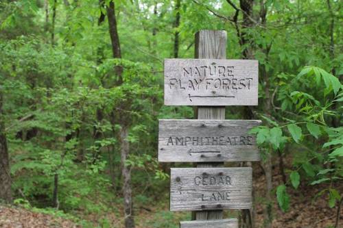 Wooden signpost in a forest, pointing to "Nature Play Forest," "Amphitheatre," and "Cedar Lane." Lush greenery surrounds it.