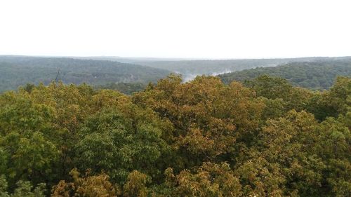 A panoramic view of lush green hills and trees, shrouded in mist under a cloudy sky.