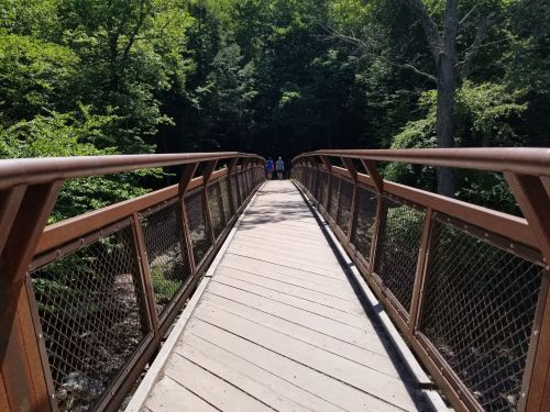 A wooden bridge stretches over a forested area, with people walking in the distance under a clear blue sky.