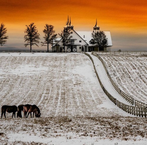A snowy landscape at sunset with a barn and horses grazing in the foreground, framed by trees and a fence.