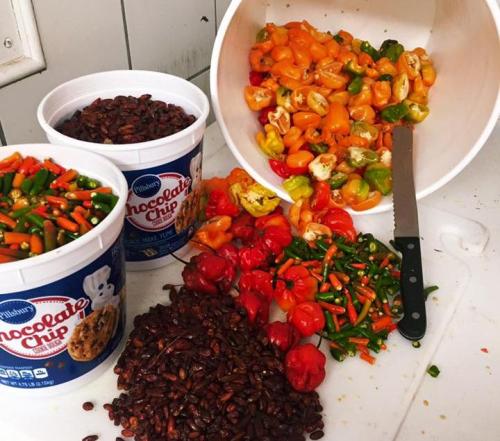Colorful chopped vegetables and chocolate chips scattered around a cutting board, with a knife and mixing bowl.