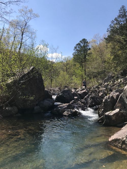 A serene river flows through rocky terrain, surrounded by lush greenery and trees under a clear blue sky.