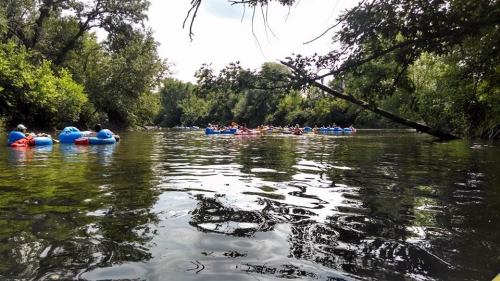 A serene river scene with people floating on inner tubes among lush greenery and calm waters.