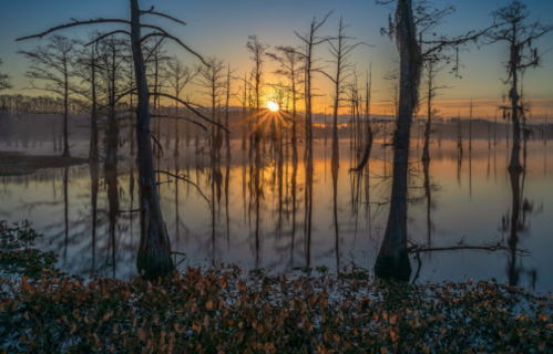 Sunrise over a tranquil lake, with silhouetted trees reflecting in the water and mist rising in the background.