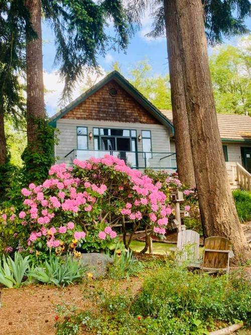 A charming house surrounded by vibrant pink flowers and tall trees, set in a lush garden.
