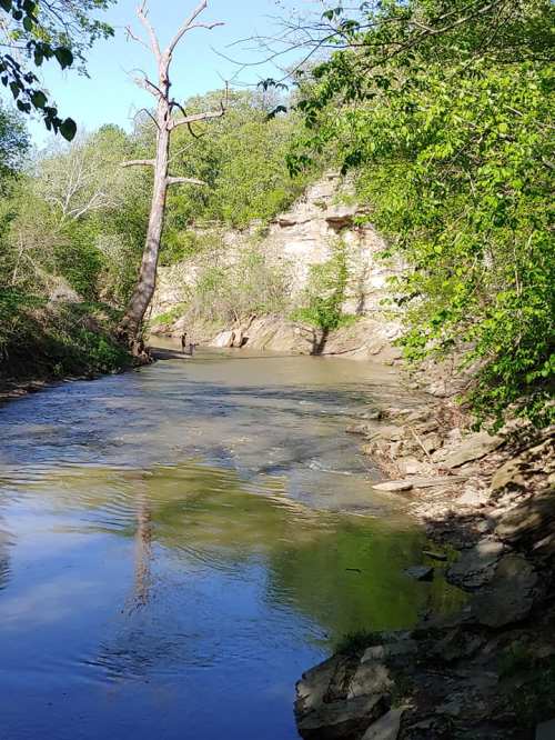 A serene river flows through a lush green landscape, flanked by trees and rocky banks under a clear blue sky.
