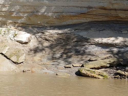 A rocky riverbank with layered cliffs and calm water reflecting shadows from nearby trees.