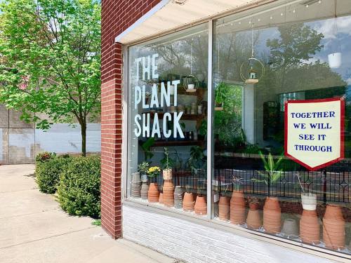 A storefront with "The Plant Shack" sign, featuring potted plants and a banner reading "Together We Will See It Through."