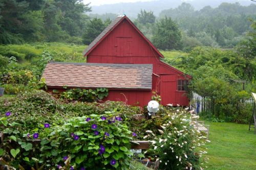 A red barn surrounded by lush greenery and colorful flowers on a misty day.