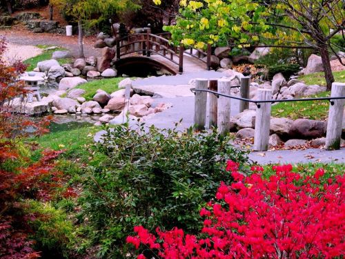 A serene garden scene featuring a wooden bridge, rocks, and vibrant red flowers amidst lush greenery.