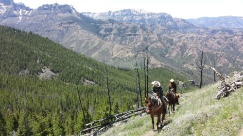 Two riders on horseback navigate a mountainous trail surrounded by lush greenery and distant snow-capped peaks.