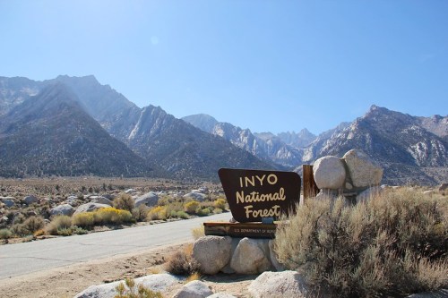 Sign for Inyo National Forest with mountains in the background and a clear blue sky.