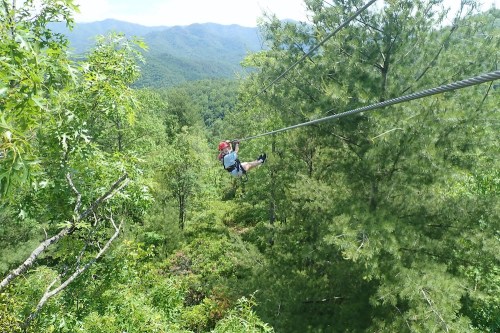 A person zip-lining through a lush green forest with mountains in the background on a sunny day.