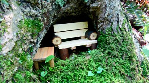 A small wooden bench and table nestled in a tree hollow, surrounded by green moss and foliage.