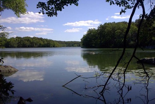 A serene lake surrounded by lush greenery and blue skies, with fluffy clouds reflected on the water's surface.