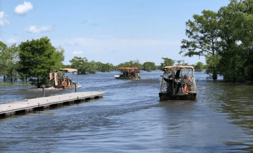 Three airboats navigate through a flooded area, with a wooden dock visible in the foreground and trees lining the water.