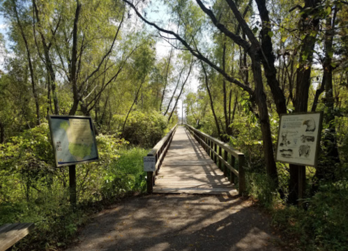 A wooden boardwalk leads through lush greenery, flanked by informational signs on either side.