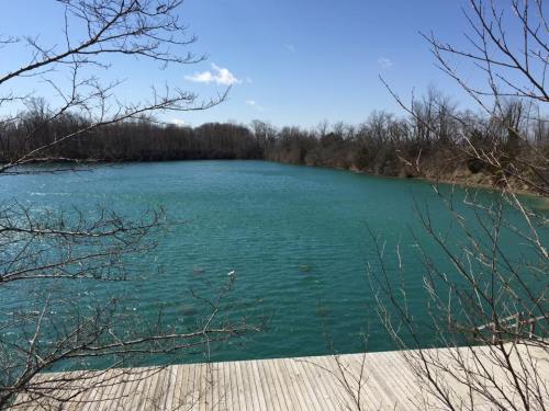 A serene blue lake surrounded by bare trees under a clear sky.