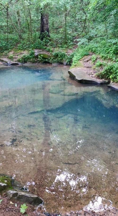A serene, clear blue pond surrounded by lush green trees and rocky edges in a tranquil forest setting.