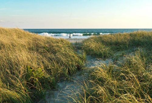 A sandy path through tall grass leads to a beach with gentle waves and a person walking along the shore.