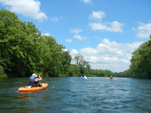 A person kayaking on a calm river surrounded by lush green trees under a bright blue sky with fluffy clouds.