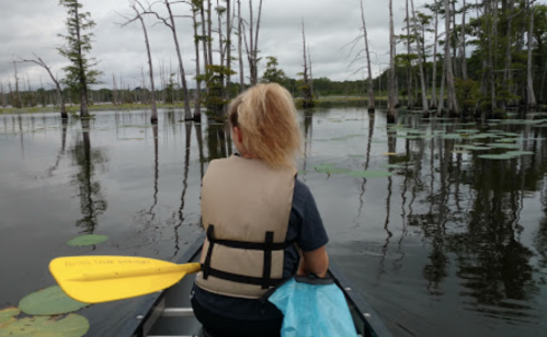A person in a kayak paddles through a calm, lily-covered swamp with tall trees in the background.
