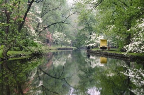 A serene river surrounded by lush green trees and colorful flowers, reflecting the scenery in calm water.