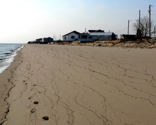 A sandy beach with gentle waves, footprints leading towards distant houses under a clear sky.