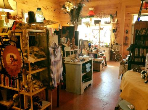 A cozy, eclectic shop filled with vintage items, books, and decorative objects, featuring wooden walls and warm lighting.