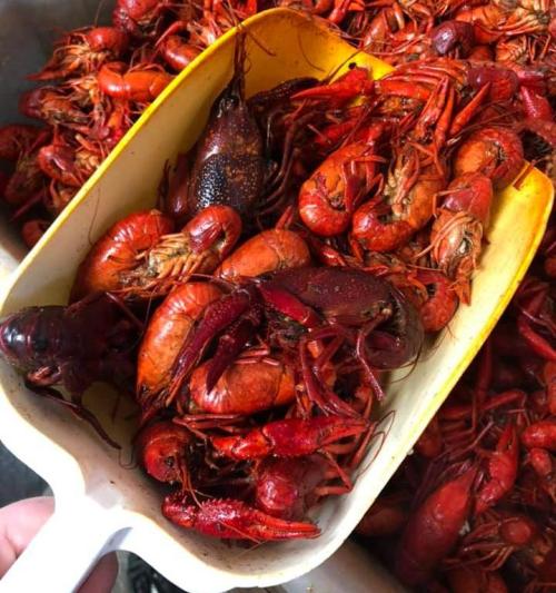 A scoop filled with various cooked crawfish, surrounded by more crawfish in the background.