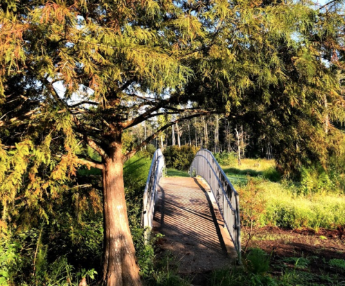 A small metal bridge surrounded by lush greenery and trees in a serene outdoor setting.