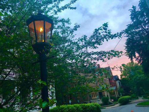 A vintage street lamp illuminated at dusk, surrounded by lush greenery and a colorful sky.