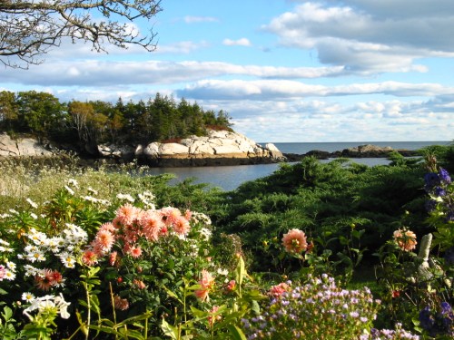 A scenic coastal view featuring colorful flowers in the foreground and rocky shores under a blue sky with clouds.