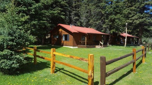 A rustic cabin surrounded by trees and a grassy area, with a wooden fence in the foreground.