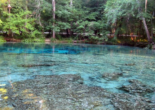 A serene, clear blue spring surrounded by lush green trees and foliage, reflecting the natural beauty of the area.