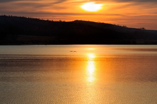 A serene sunset over a calm lake, with silhouettes of birds flying across the shimmering water.