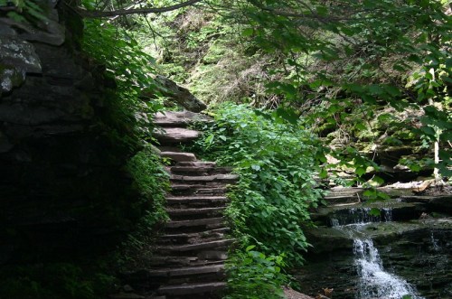 A stone staircase surrounded by lush greenery, leading up alongside a small waterfall in a serene forest setting.