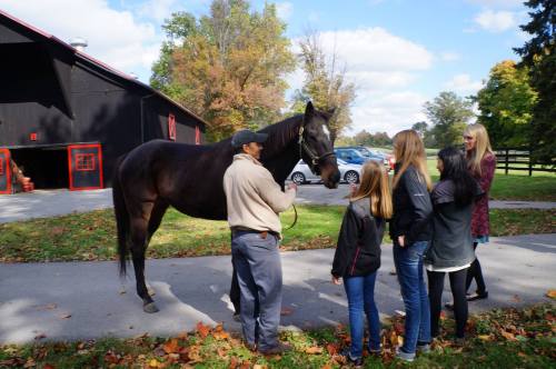 A man talks to a group of four people near a horse in a park-like setting with trees and a barn in the background.