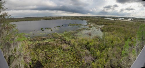 A panoramic view of a lush wetland with water, greenery, and cloudy skies in the background.