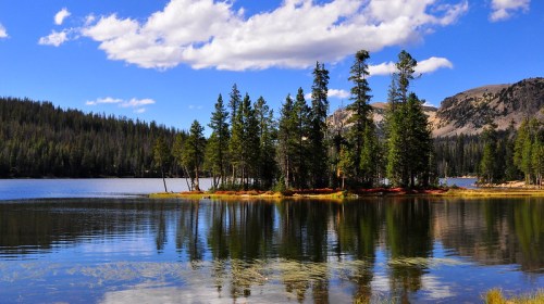 A serene lake surrounded by tall pine trees and mountains, with fluffy clouds reflecting on the water's surface.