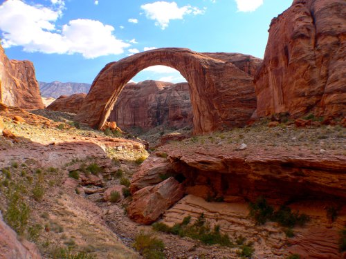 Natural rock arch surrounded by red rock formations and a clear blue sky. Desert landscape with sparse vegetation.