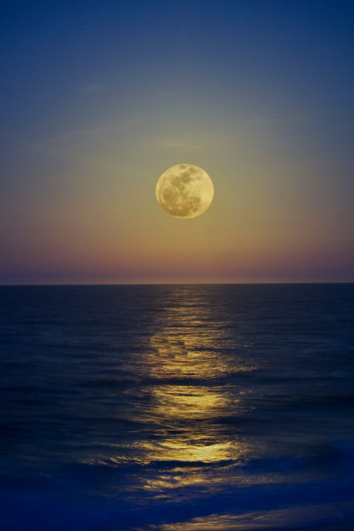 A full moon rises over a calm ocean, reflecting golden light on the water under a twilight sky.
