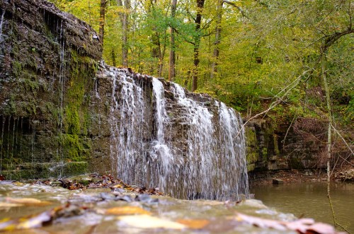 A serene waterfall cascading over rocky ledges, surrounded by lush green trees and autumn leaves.