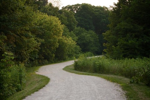 A winding gravel path surrounded by lush green trees and foliage, leading into a serene natural landscape.