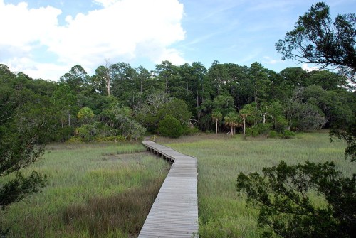 A wooden boardwalk leads through lush green marshland, surrounded by trees under a blue sky.