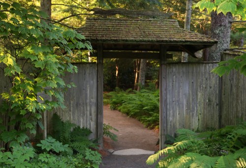 A wooden gate with a moss-covered roof opens to a path surrounded by lush greenery and ferns.
