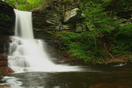 A serene waterfall cascades over rocky cliffs into a tranquil pool, surrounded by lush green foliage.