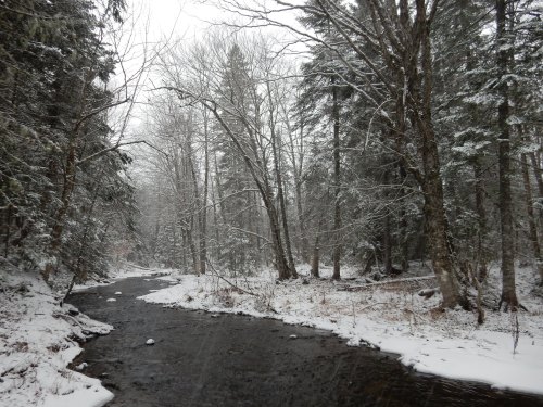 A snowy forest scene with a winding river, surrounded by bare trees and evergreens, creating a serene winter landscape.