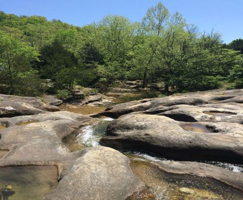 A serene landscape featuring a rocky stream surrounded by lush green trees under a clear blue sky.