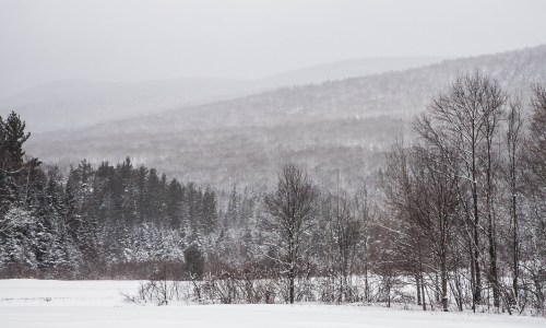 A snowy landscape with trees and distant mountains shrouded in mist, creating a serene winter scene.